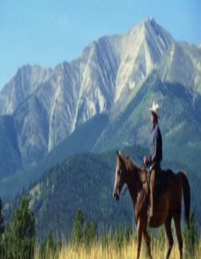 gallery/maxresdefaultcc